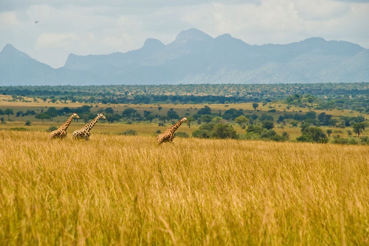 Kidepo National Park