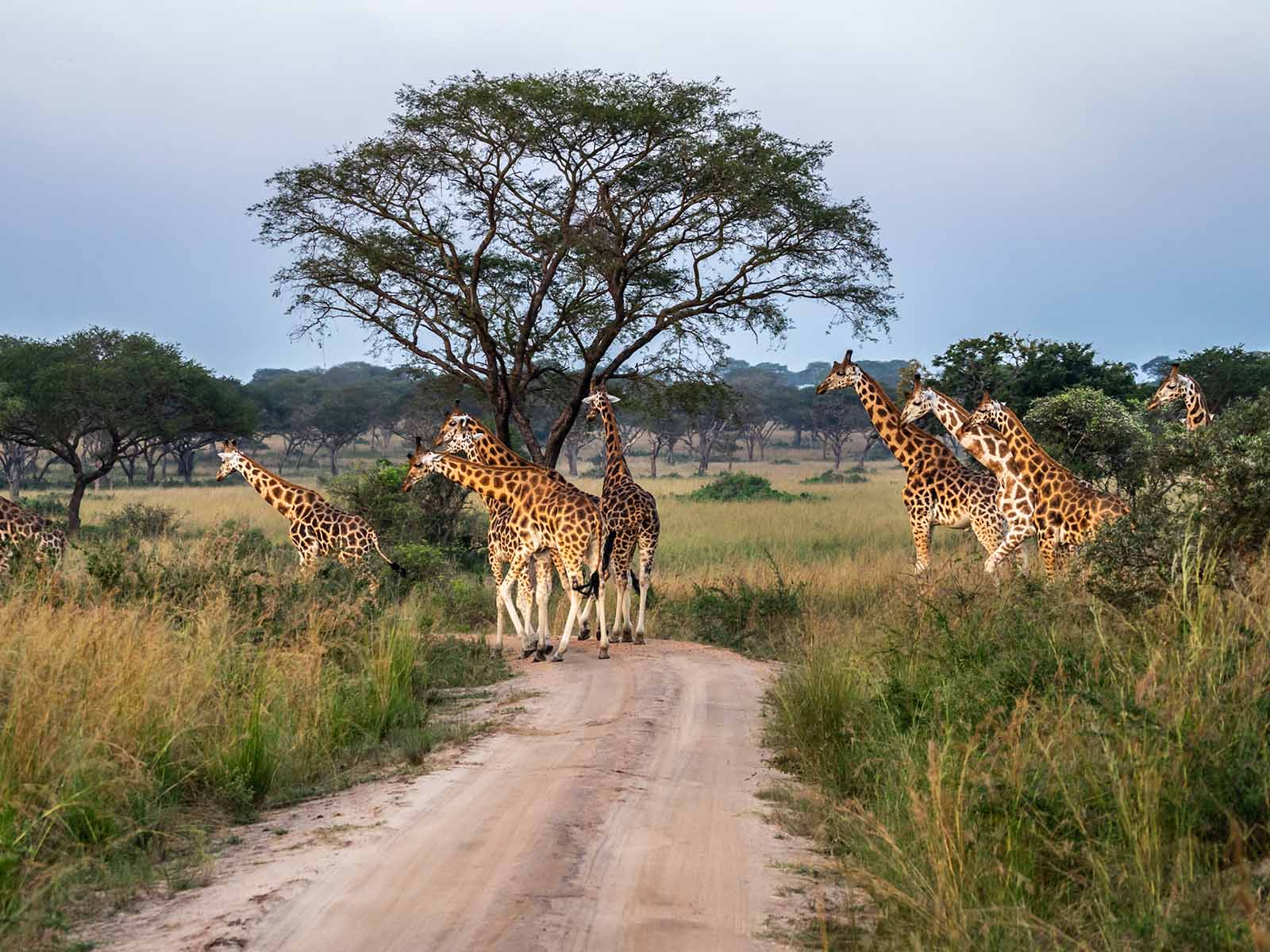 Kidepo Valley National Park