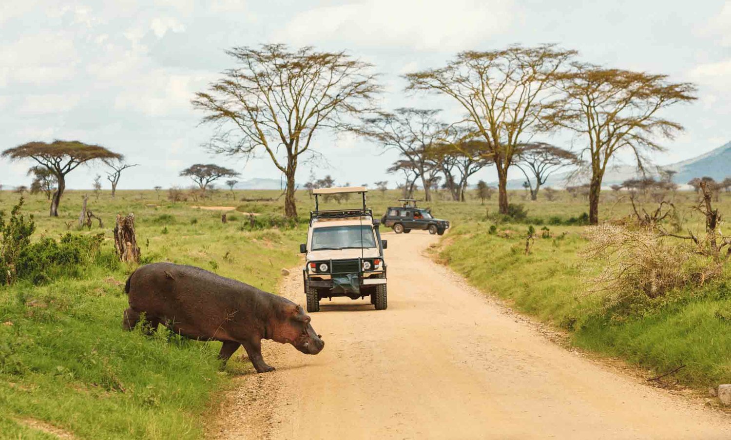 Kidepo Valley National Park