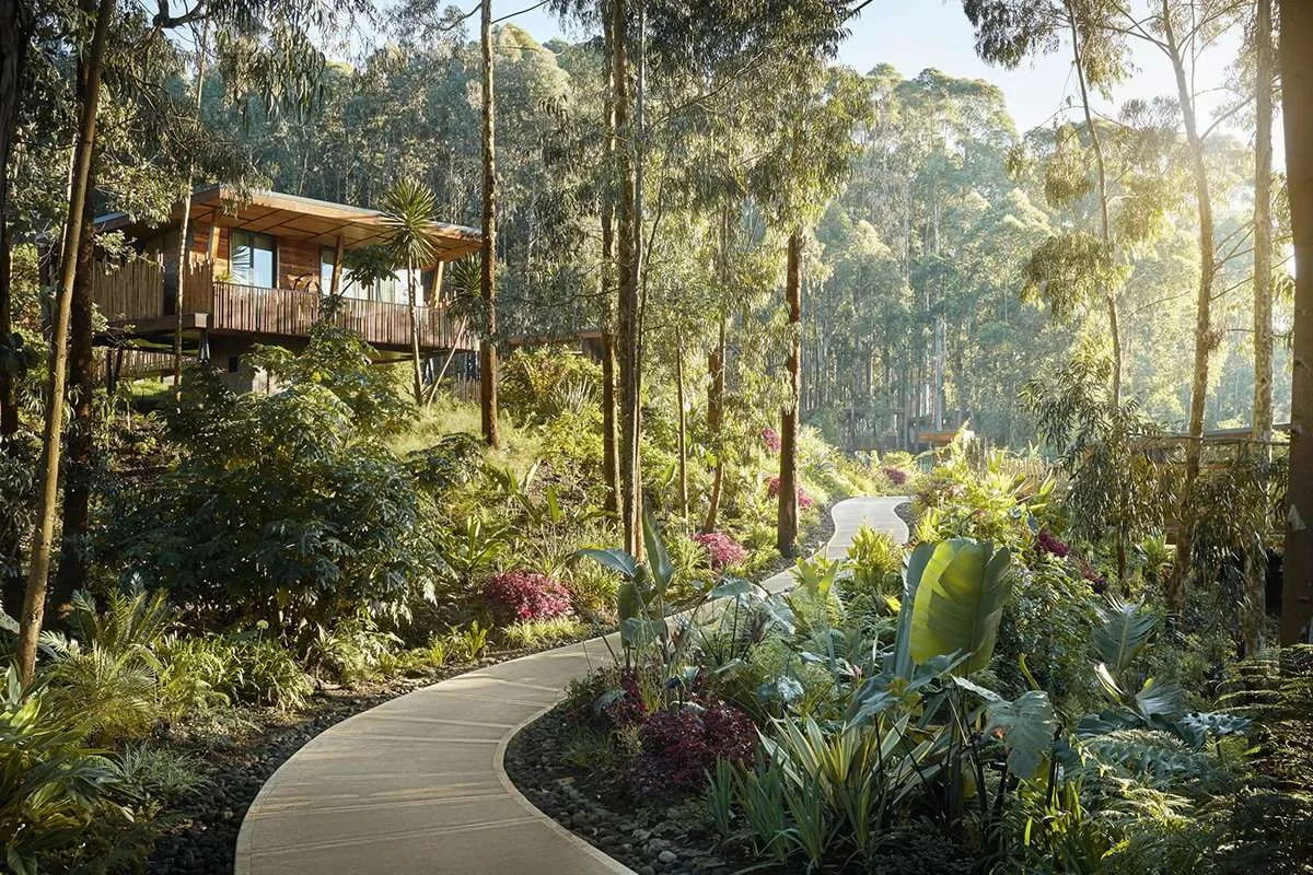 Luxury Lodges For Gorilla Trekking