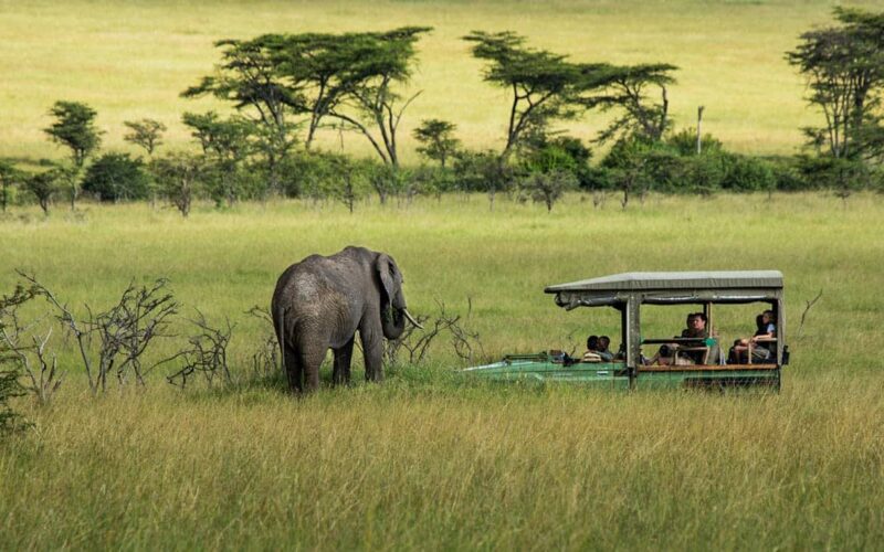 Masai Mara National Reserve