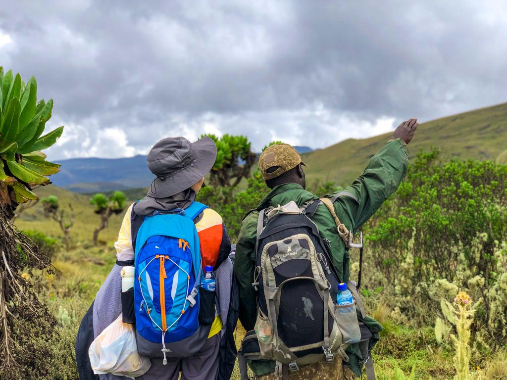 Mountain Elgon