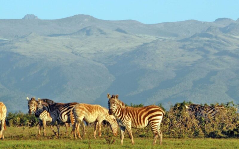 Mt. Kenya National Park
