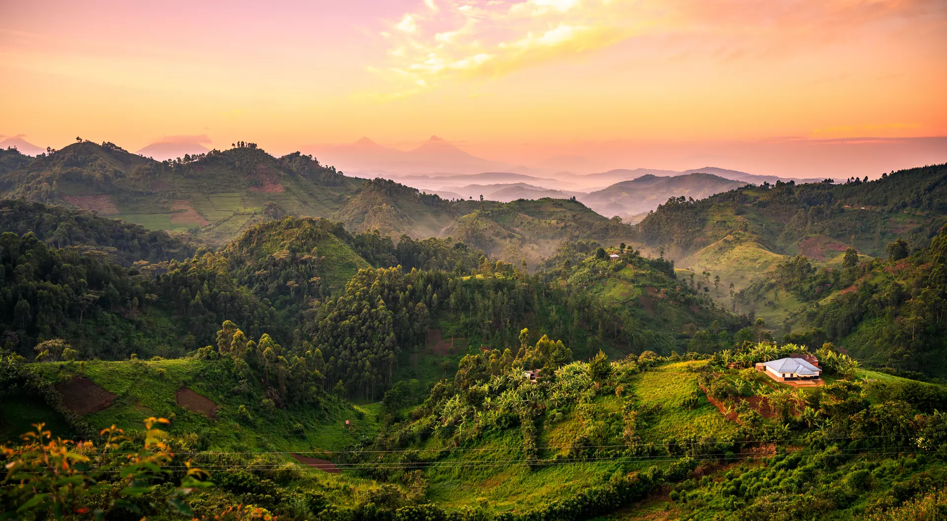 Pearl of Africa’s Hidden Treasures