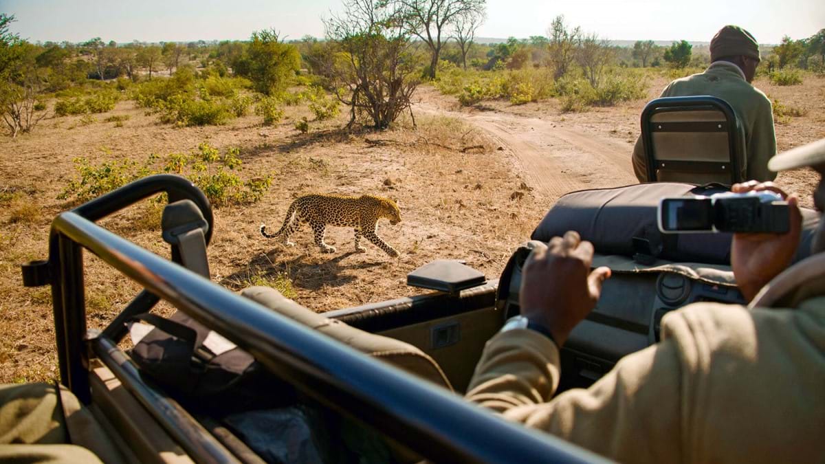 Queen Elizabeth National Park