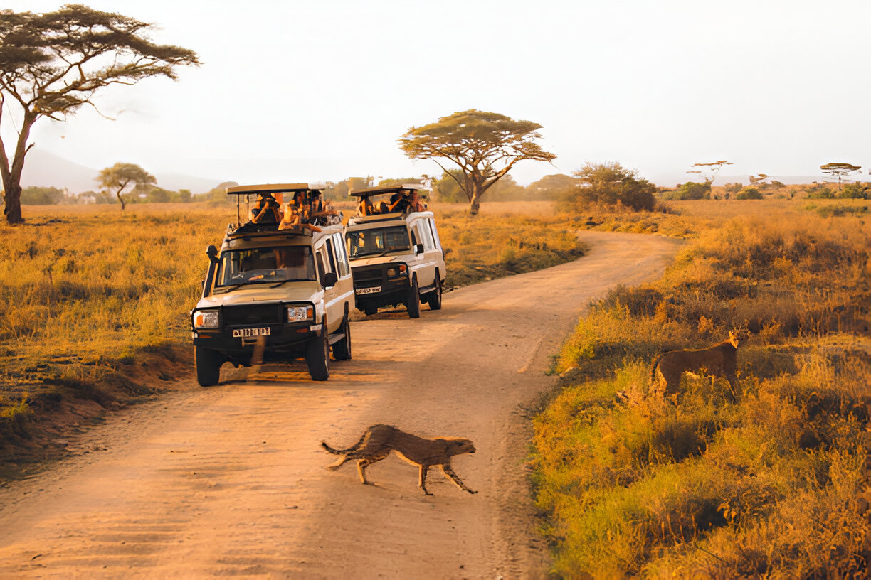 Royal Travel in Serengeti