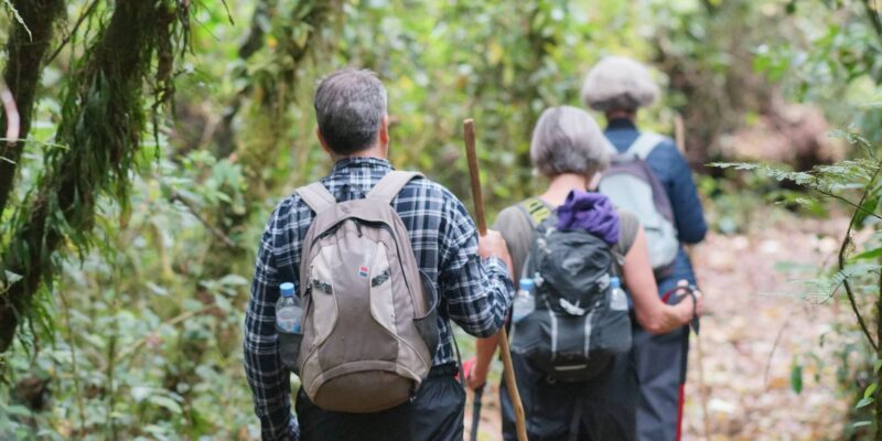 Rwanda Safari Rwanda Safari