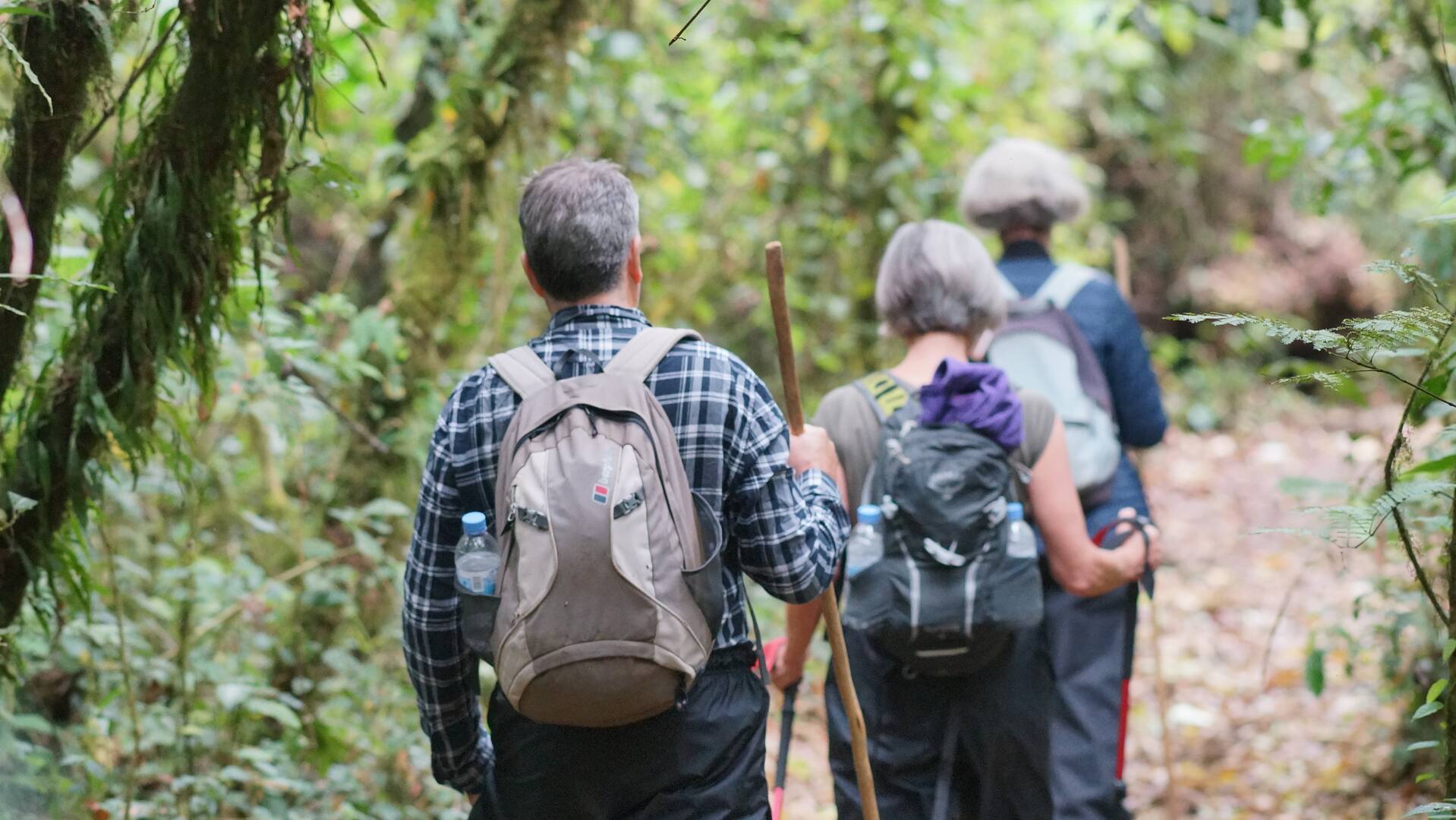 Rwanda Safari
