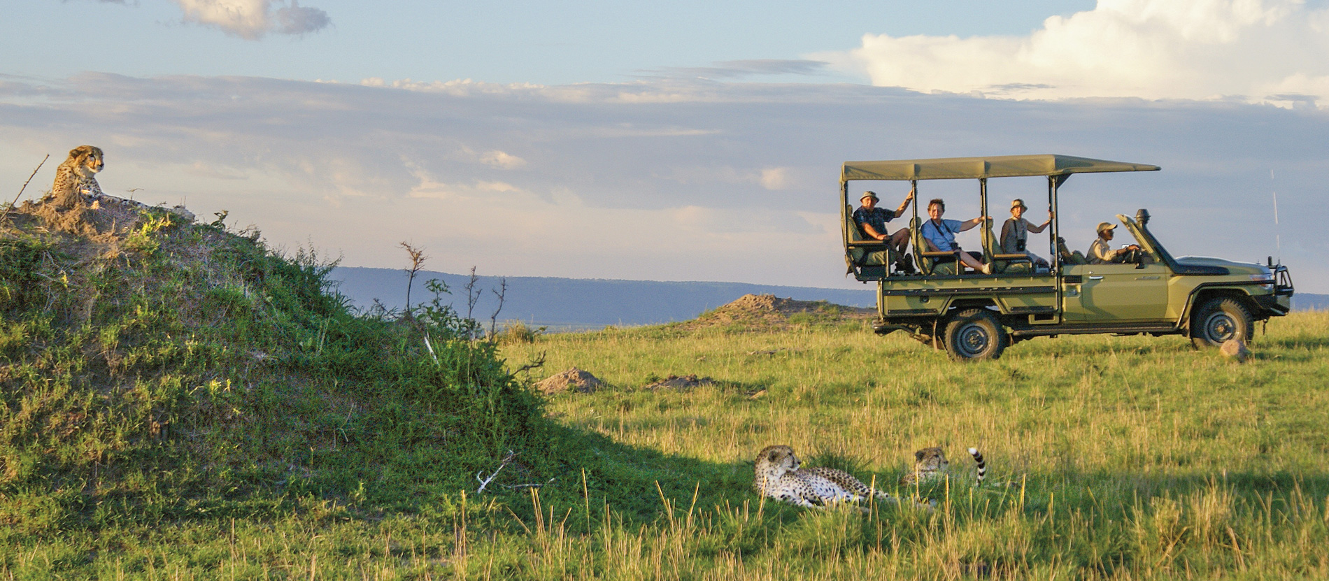 Tanzania Migration Safaris