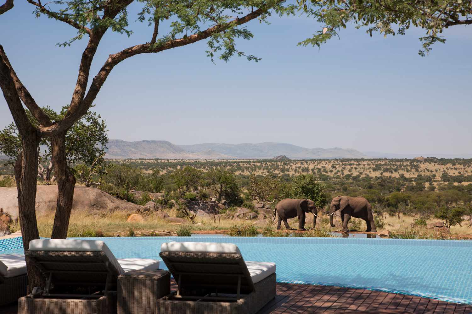 Tanzania Safari Luxury Bespoke Holidays