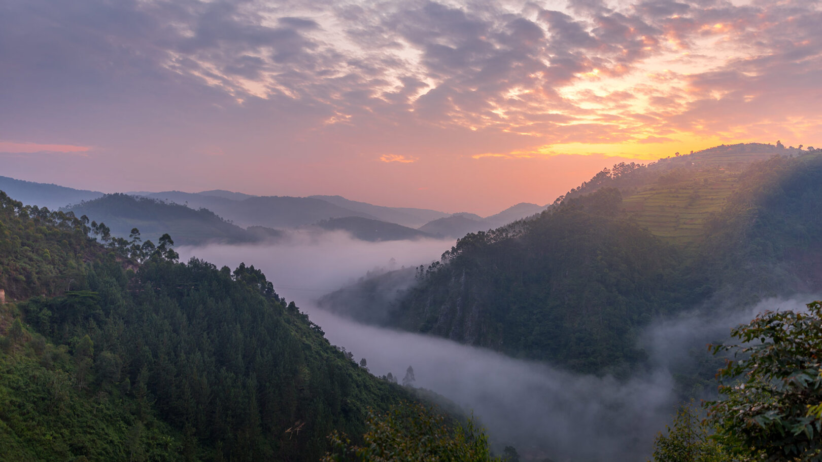 The Land of a Thousand Hills