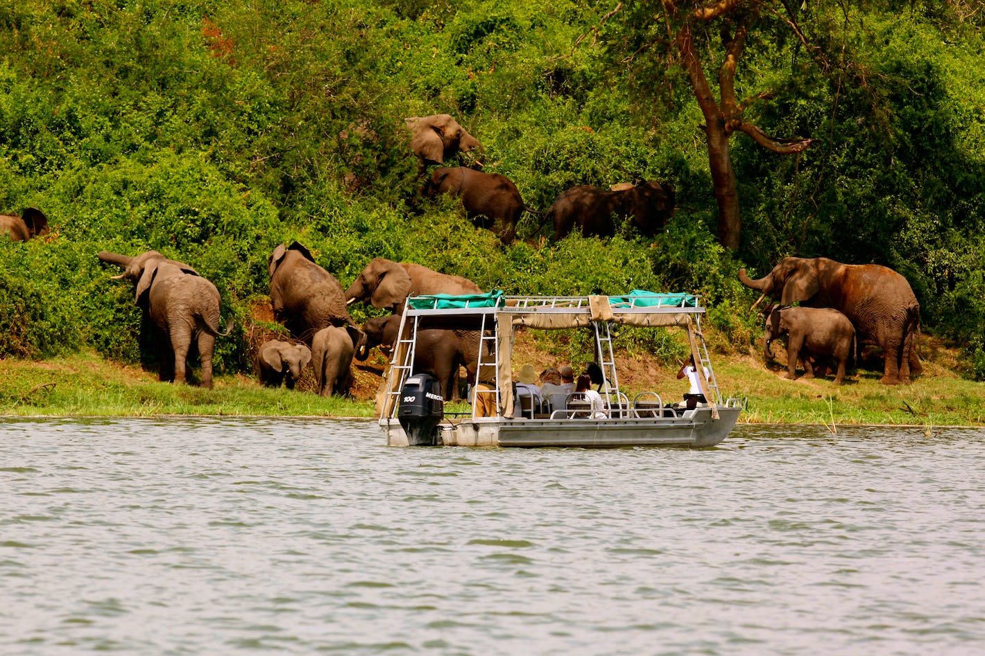 The Pearl of Africa’s Hidden Treasures