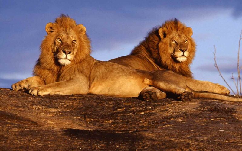Tsavo National Park