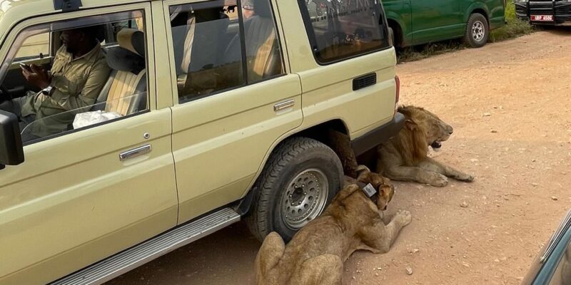 Uganda Adventure Uganda Adventure