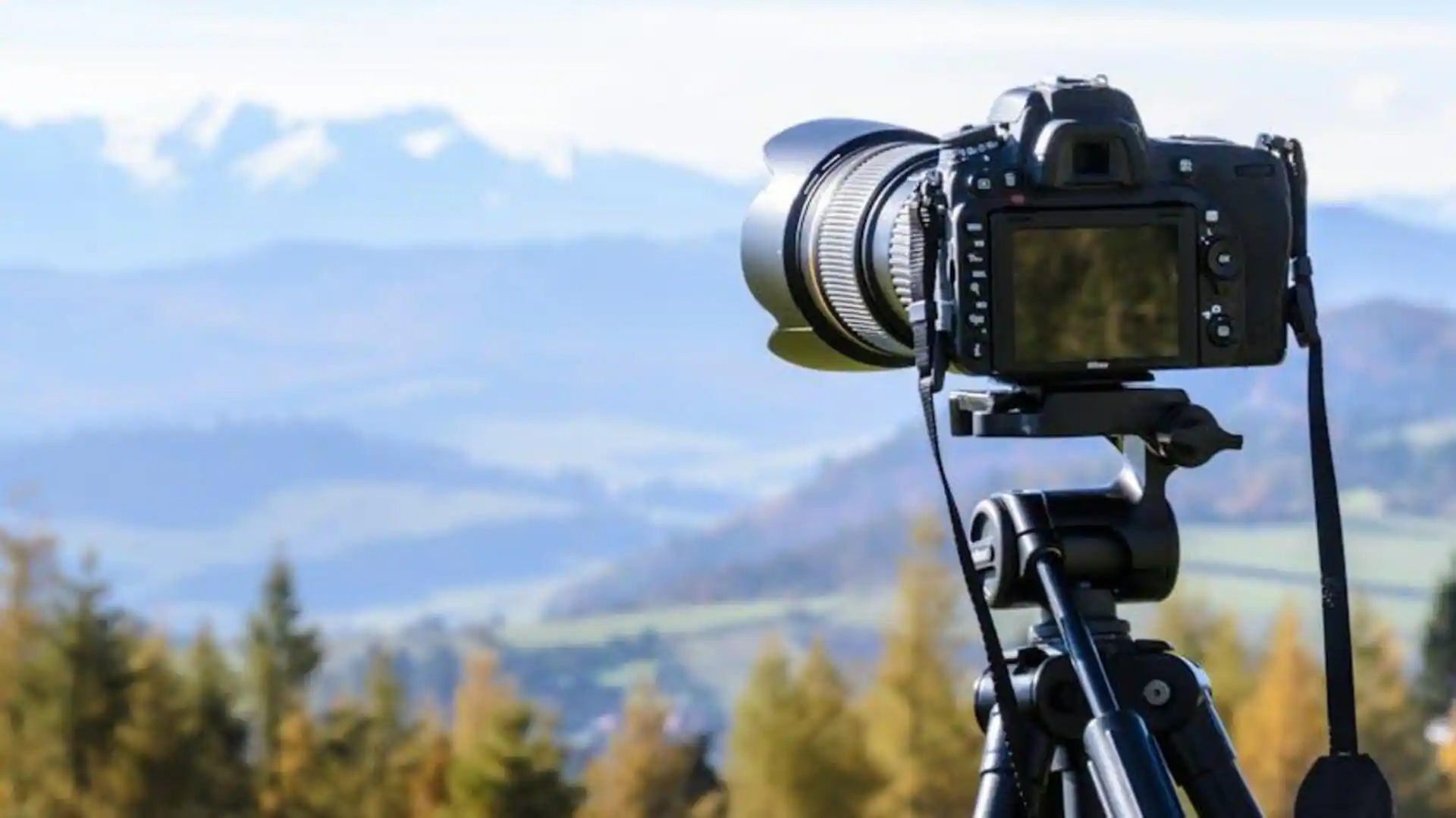 Uganda Birding Safari Experience