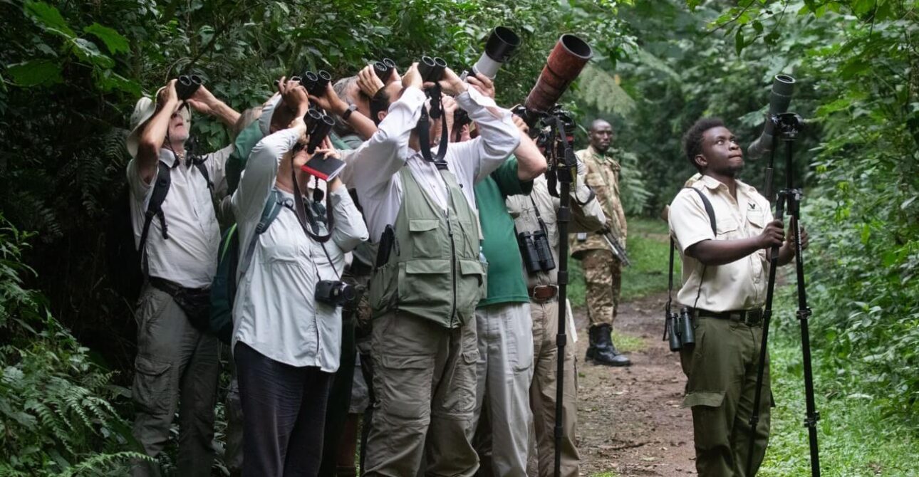 Uganda Birding Safari Experience