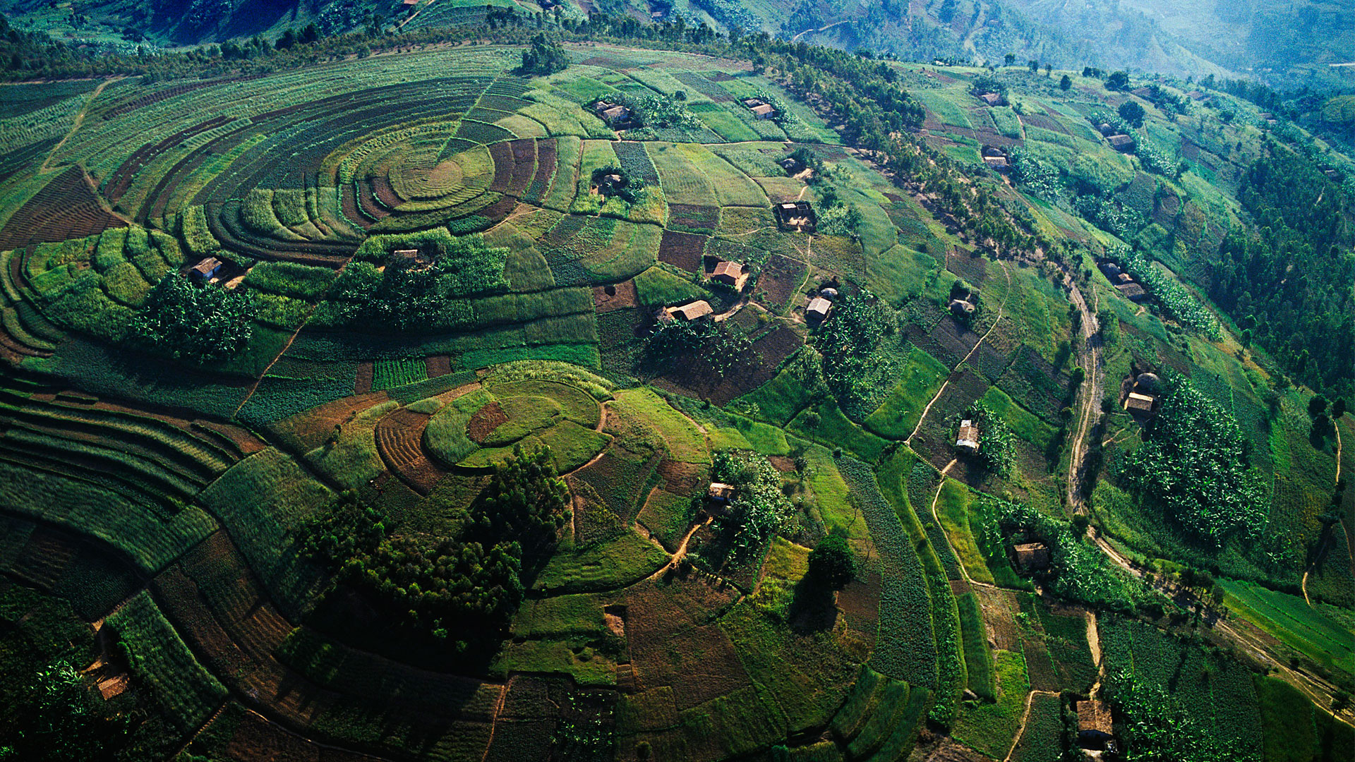 Uganda Western Safari