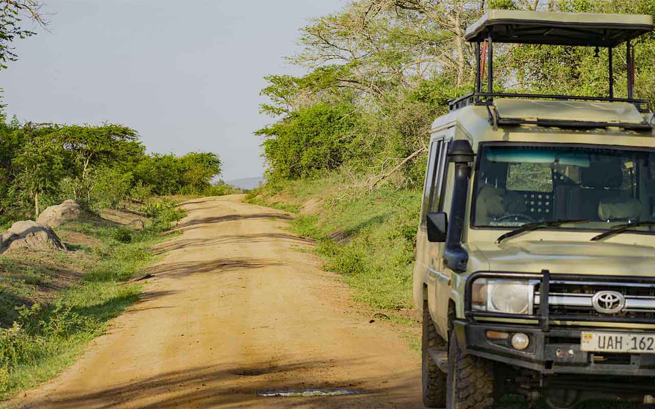 Untamed Uganda Safaris