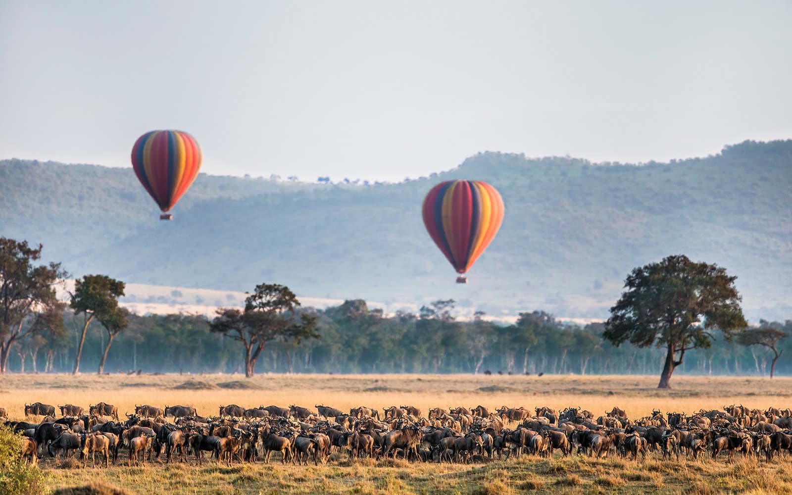 Africa Ballooning Safaris