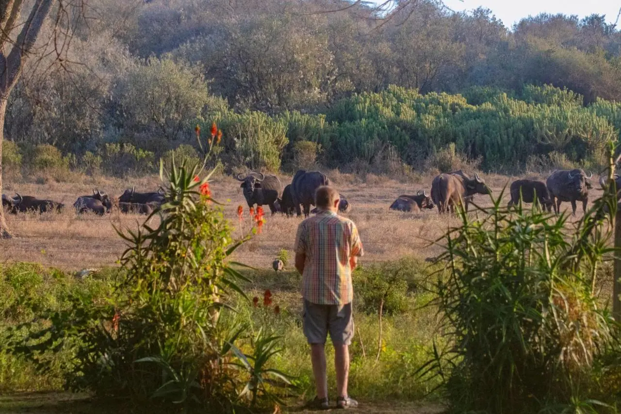 Best Destinations for Long Kenya Safaris