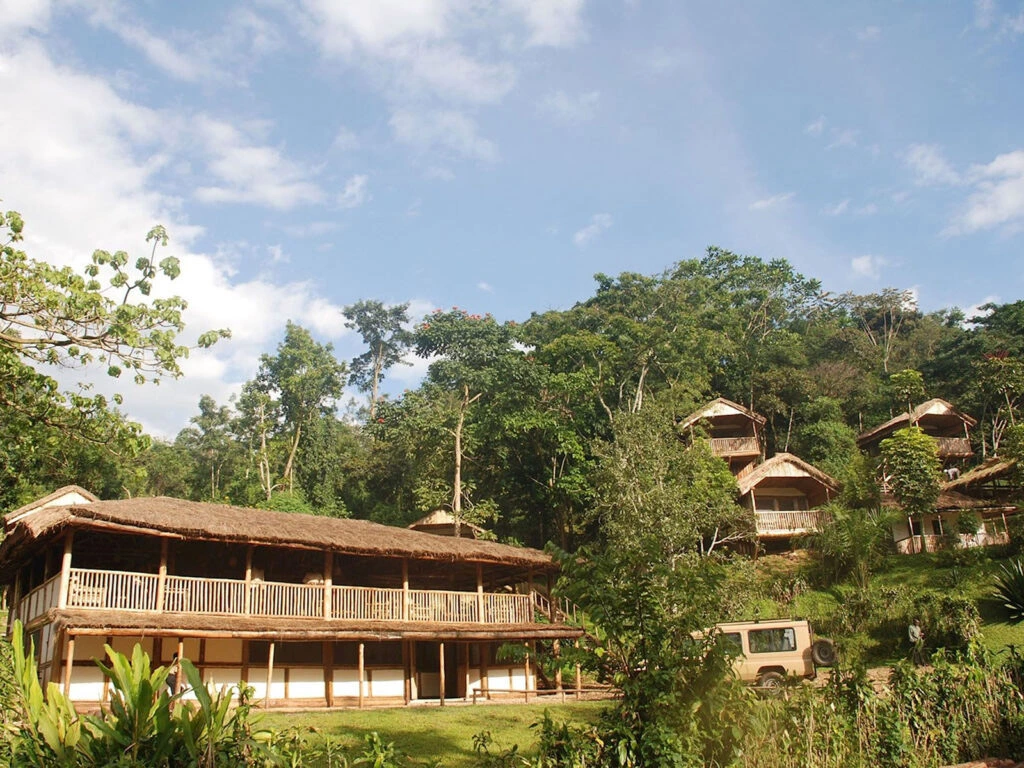 Buhoma Regions Premier Accommodation Buhoma Lodge Trek Africa