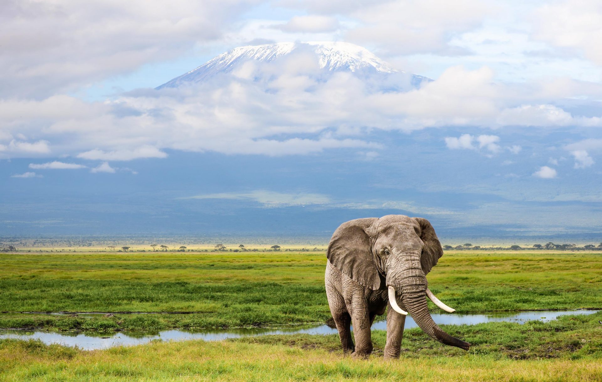 Expanding Your African Safari experience