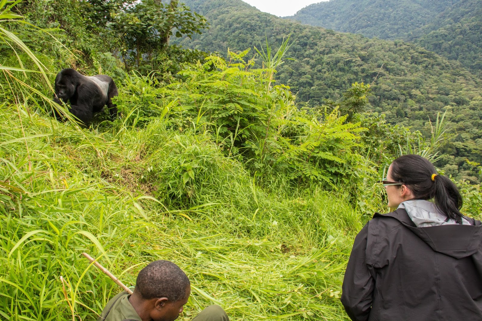 Expect this in a Short Rwanda Safari