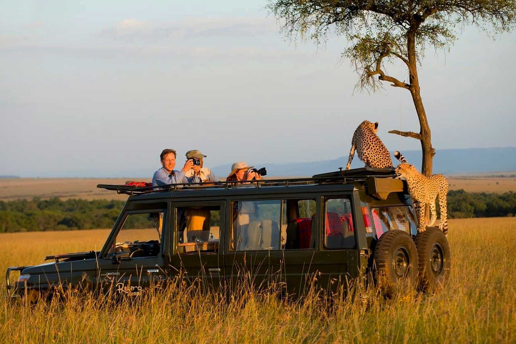 Game Drive In Serengeti National Park
