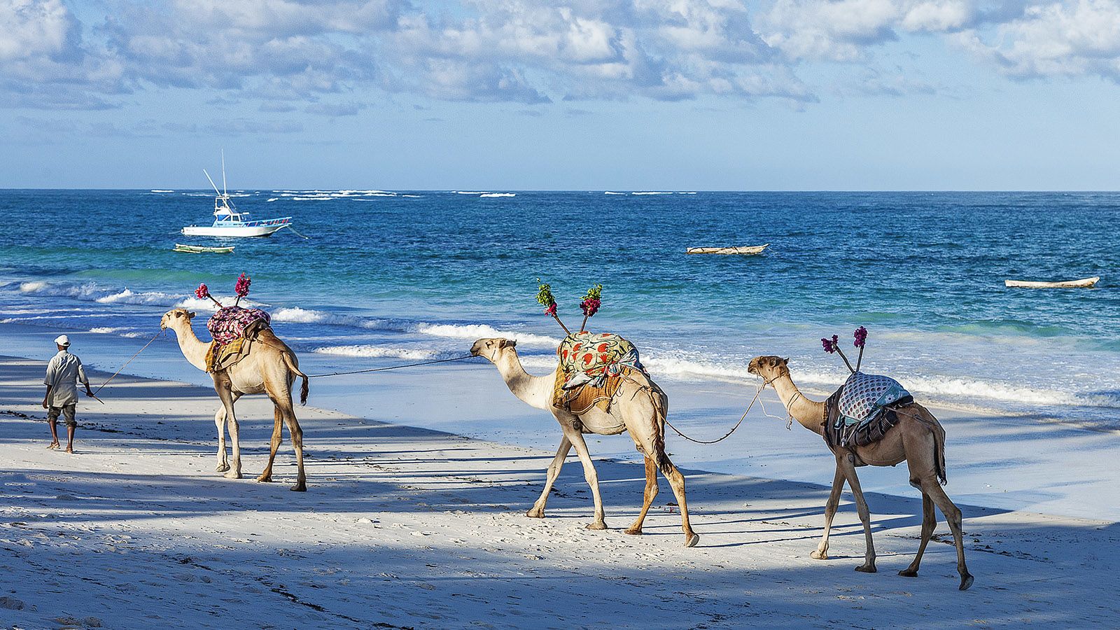 Kenya Beaches Diani Camels