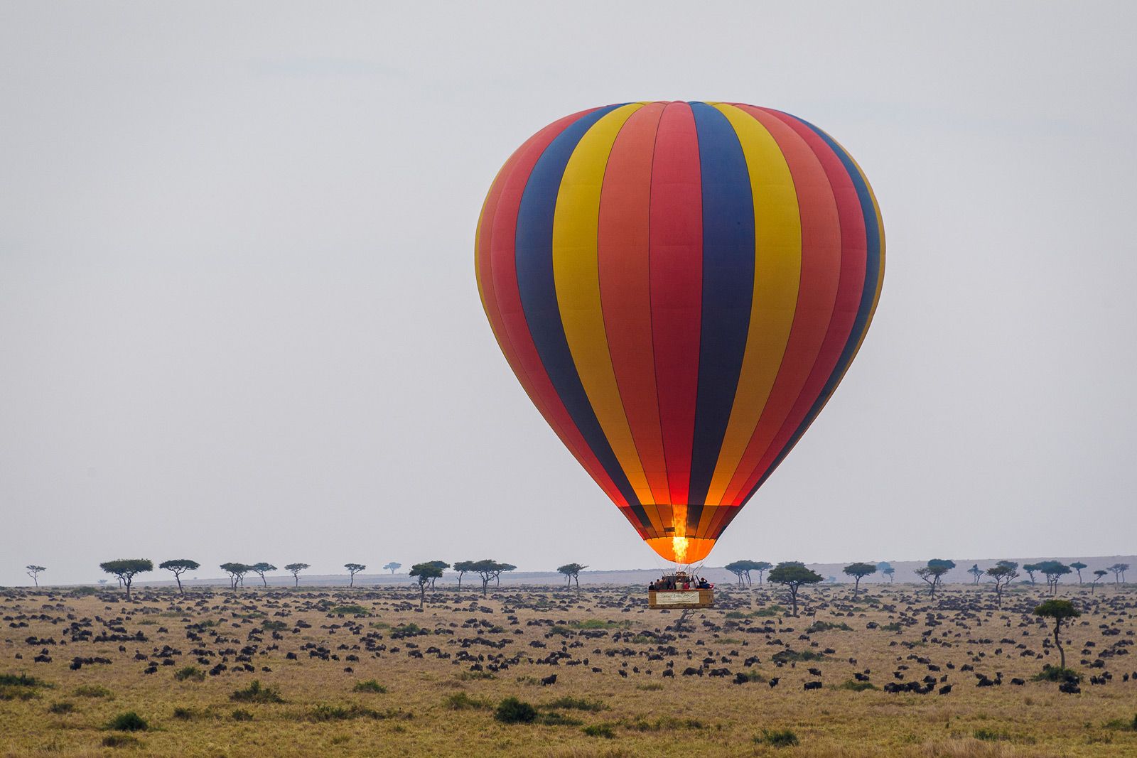 Kenya Hot Air Balloon Safaris