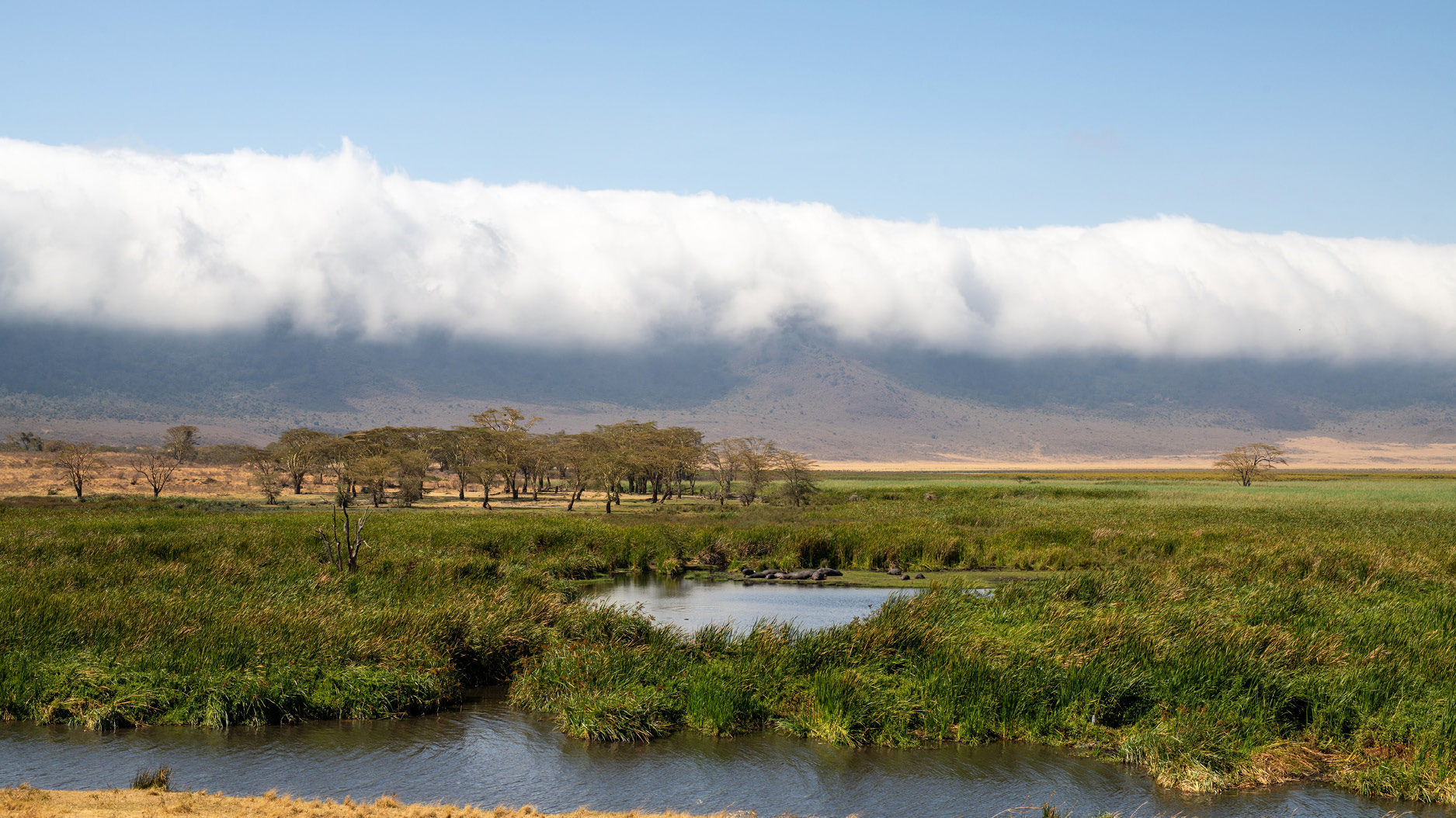 Ngorongoro Conservation Area