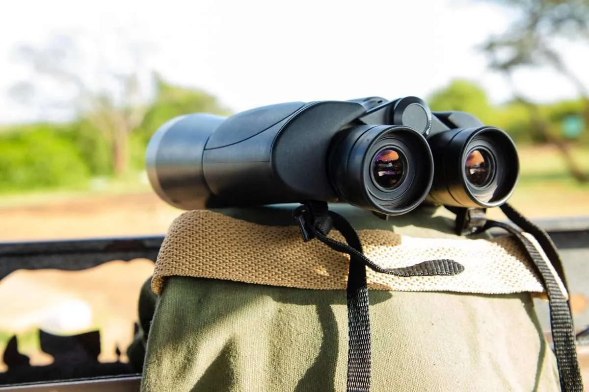 Pack for Tanzania Birding Safaris