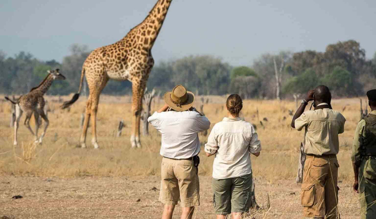 Pack for a Short Tanzania Safari