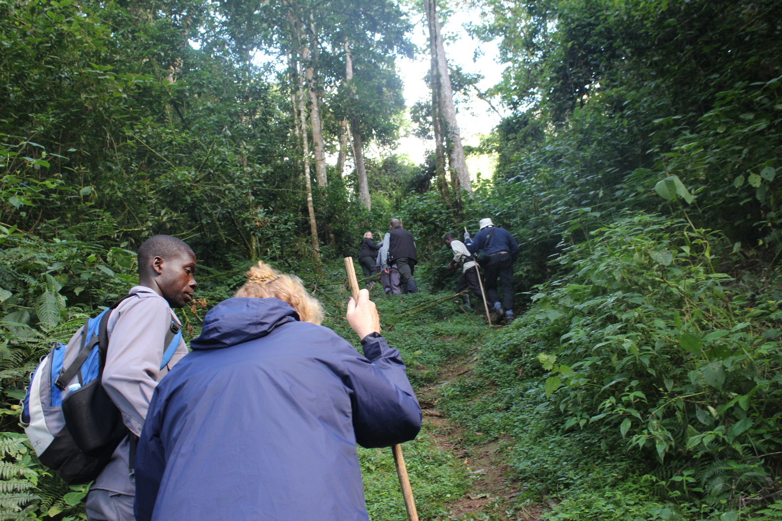 Rwanda Birding Safaris