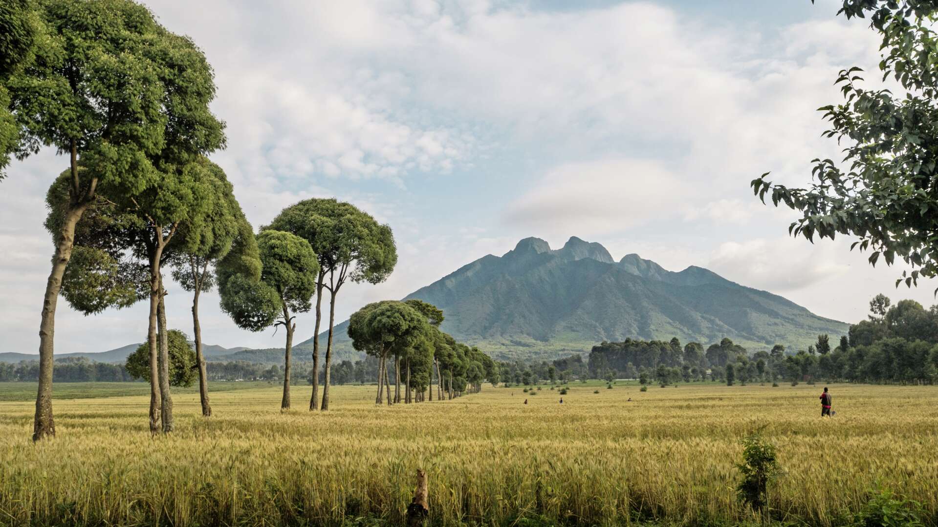 Rwanda Holidays