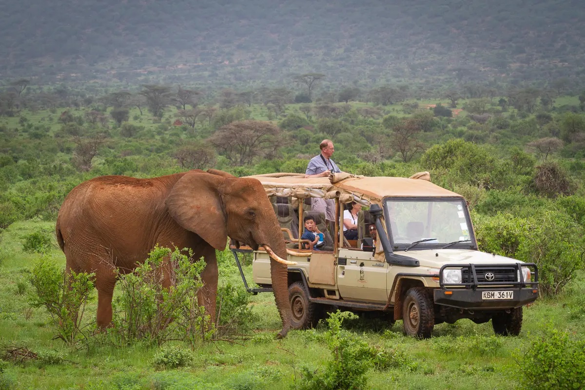 Samburu National Reserve Kenya
