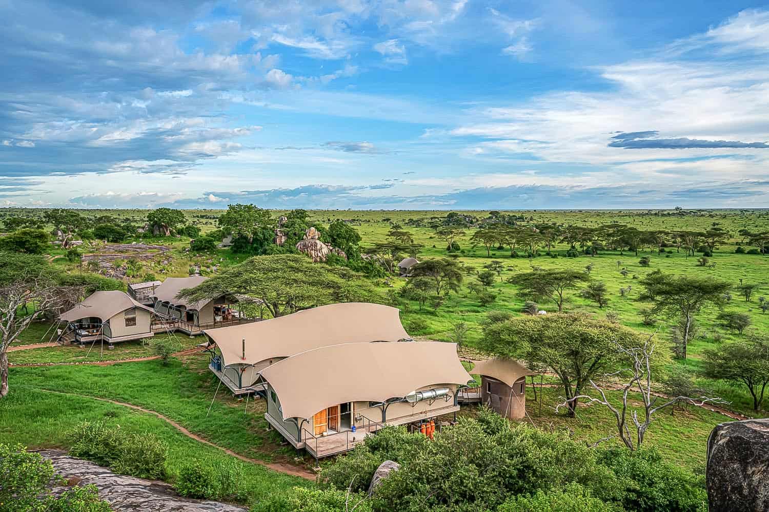 Serengeti Tanzania