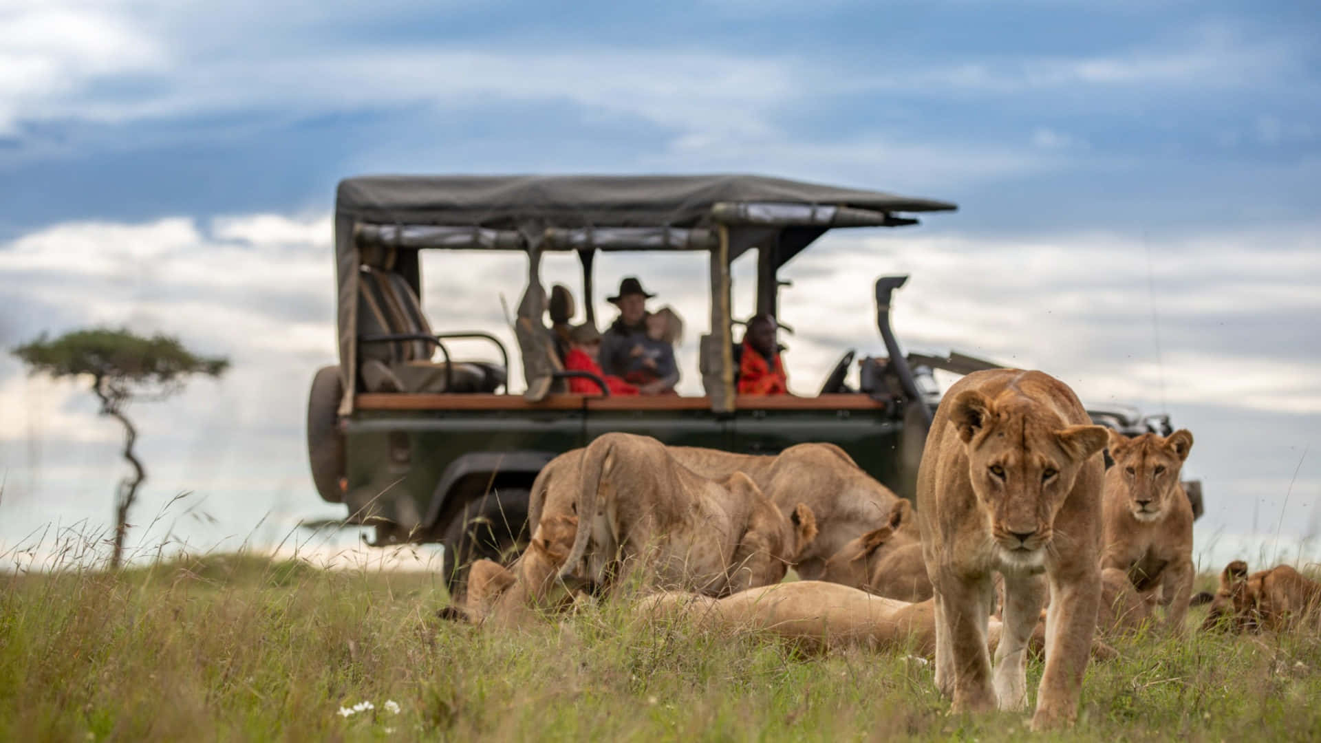 Tanzania Safari Adventure
