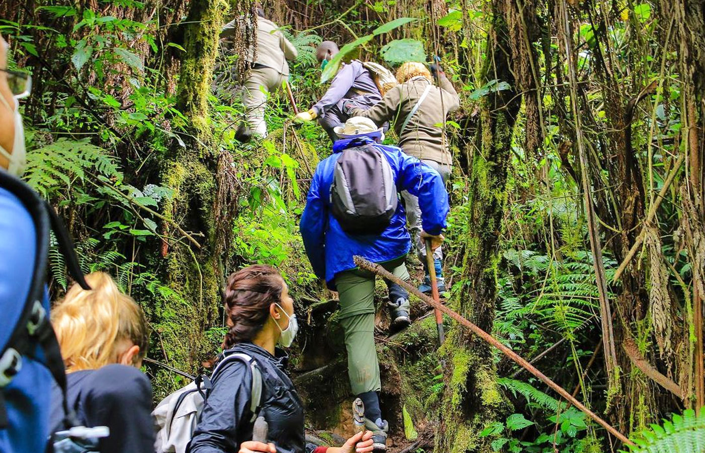 What to Pack for Rwanda Experiential Safaris