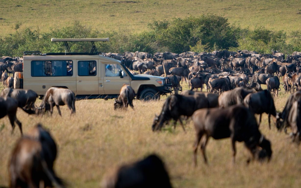 Kenya Great Migration Safaris